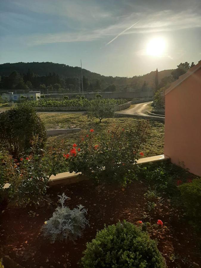 Apartment "Manna Zrnovo Kültér fotó